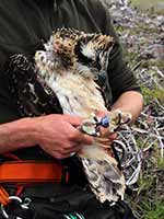 Cliquer pour l’agrandir